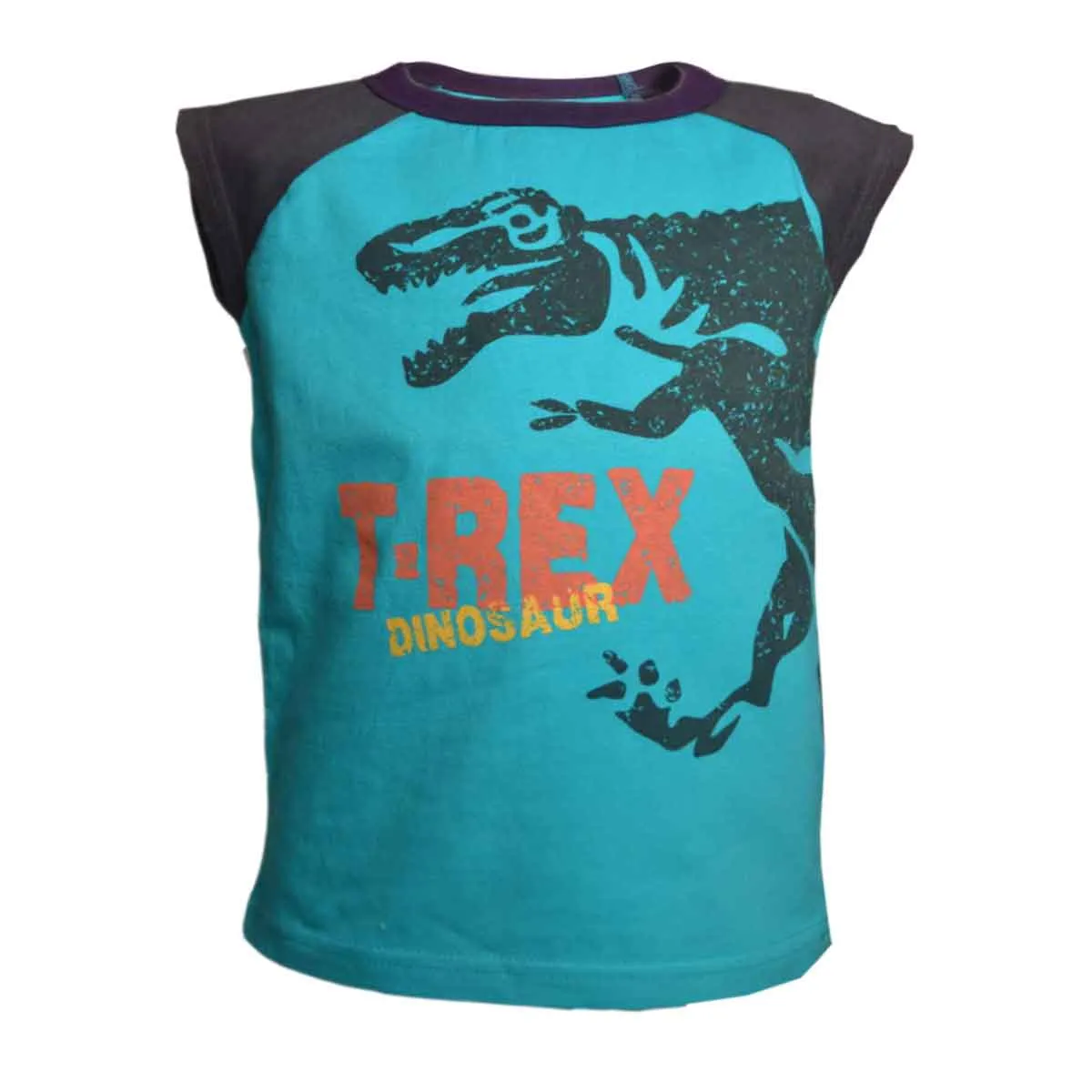 Boys Sleeveless T-shirt Tank Top with Dinosaur Print Age 4-9Years | 7A