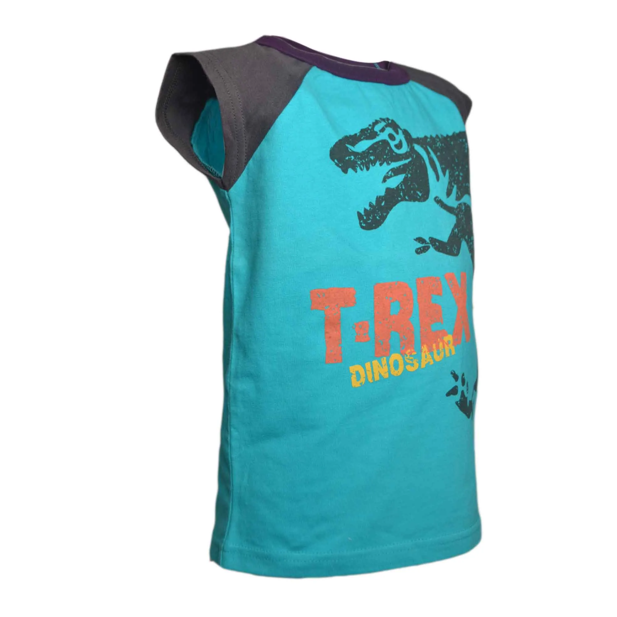 Boys Sleeveless T-shirt Tank Top with Dinosaur Print Age 4-9Years | 7A