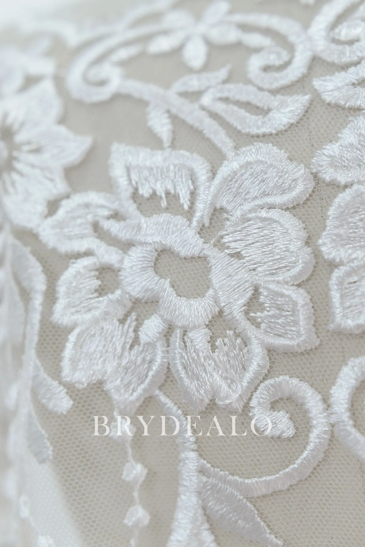 Designer Embroidered Double Border Lace Fabric