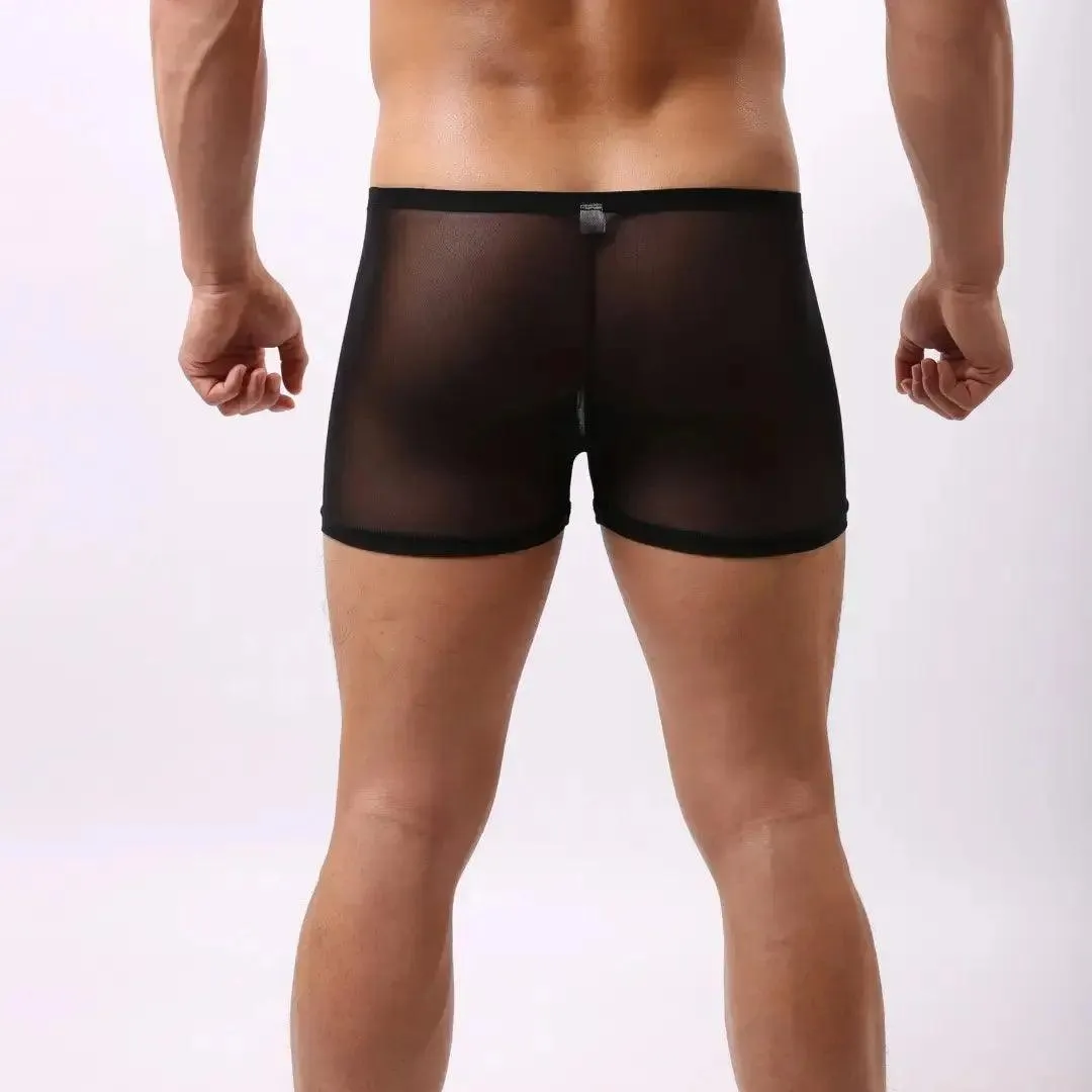 DomiGe Male Underwear Transparent Boxers Sheer Men Sexy Boxers