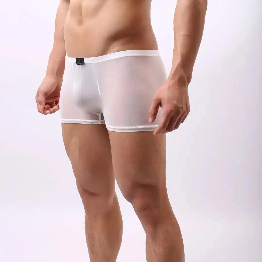 DomiGe Male Underwear Transparent Boxers Sheer Men Sexy Boxers