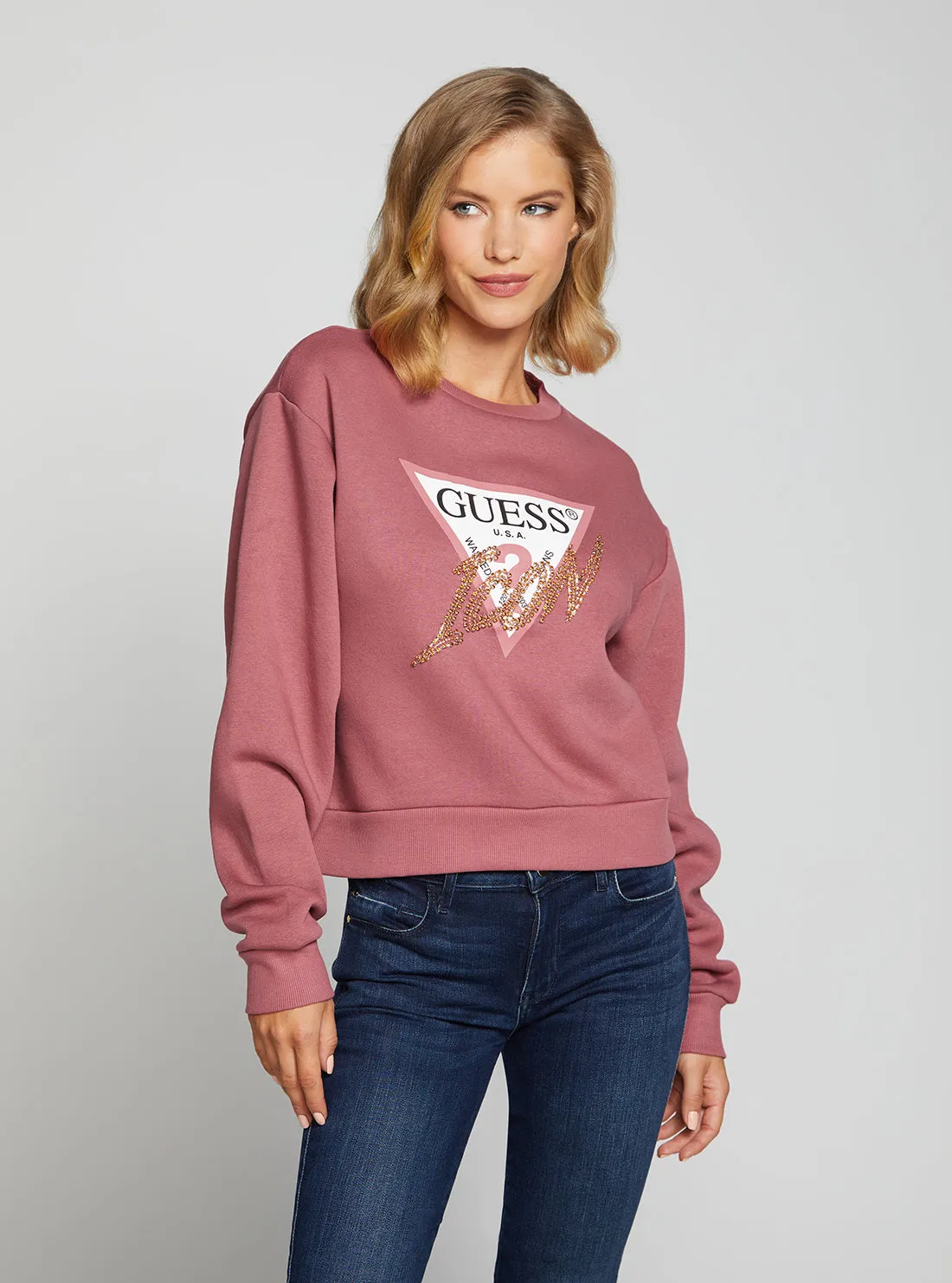 Eco Velvet Icon Logo Jumper