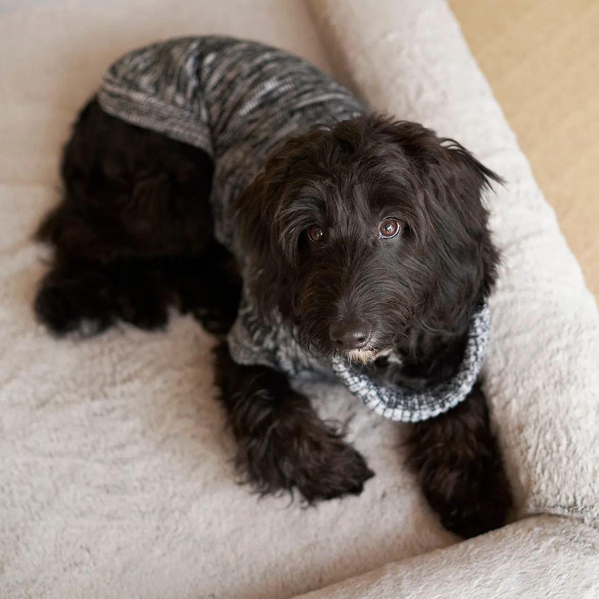 Stormy Skies Roll Neck Dog Jumper