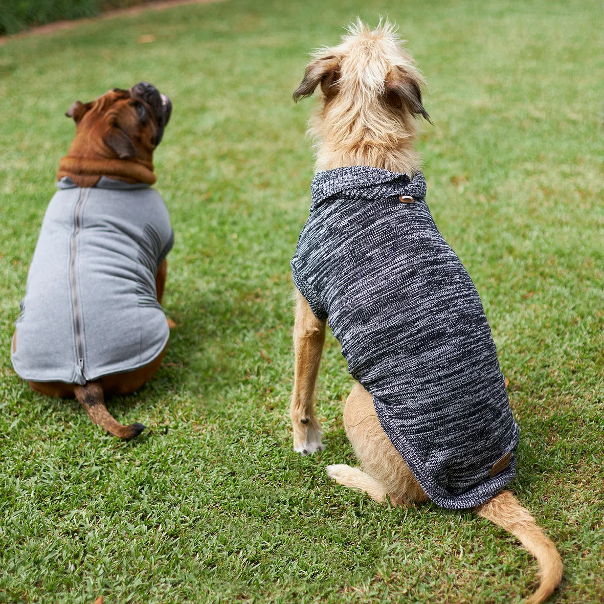 Stormy Skies Roll Neck Dog Jumper