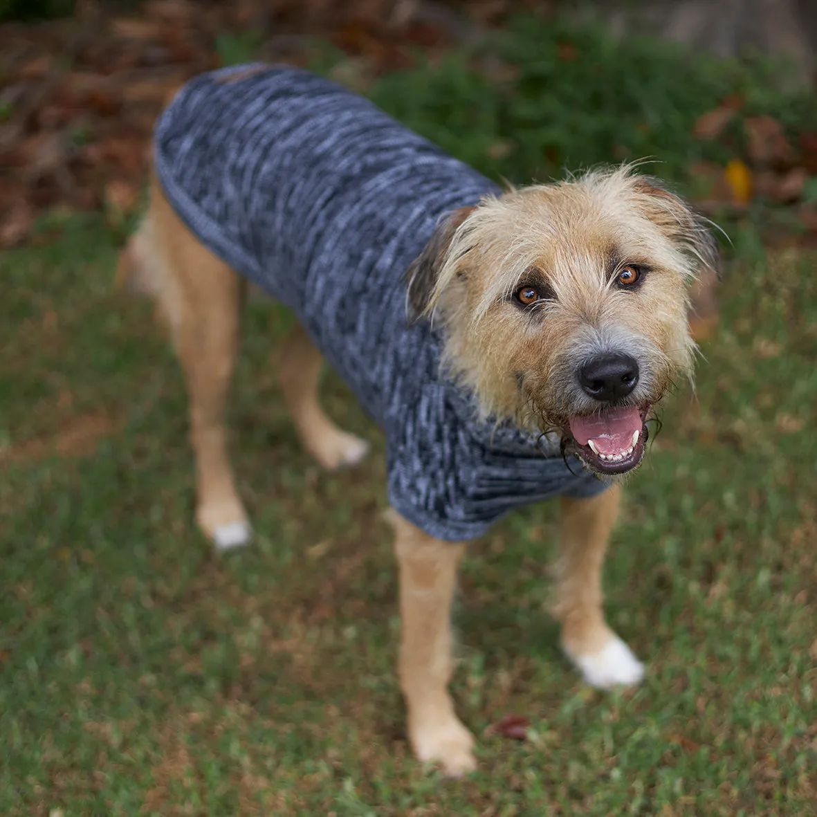 Stormy Skies Roll Neck Dog Jumper