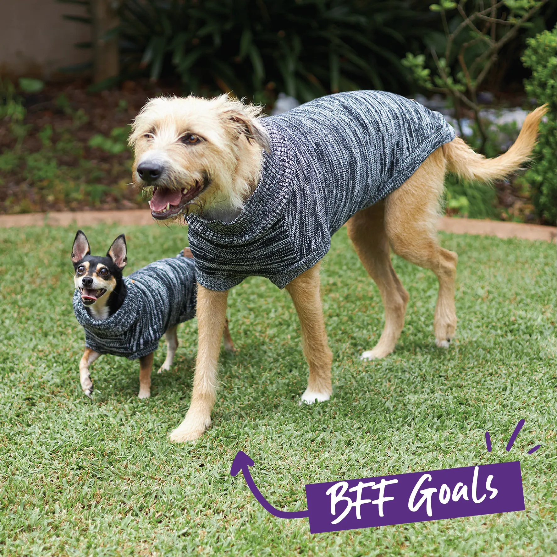 Stormy Skies Roll Neck Dog Jumper