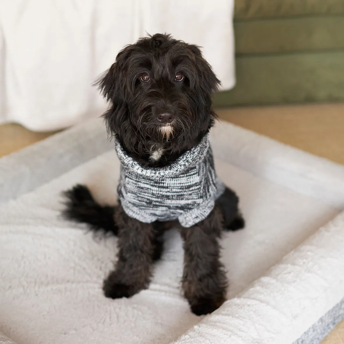 Stormy Skies Roll Neck Dog Jumper